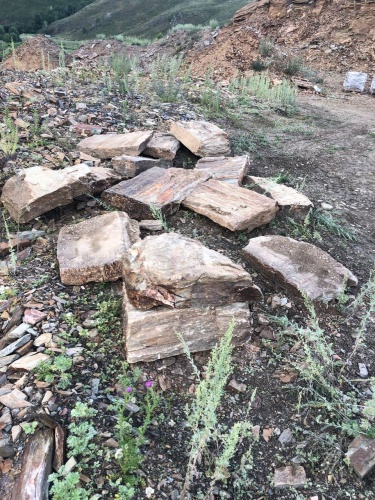 Плитняк кора дерева 50-100мм для пошаговых дорожек купить в Березниках